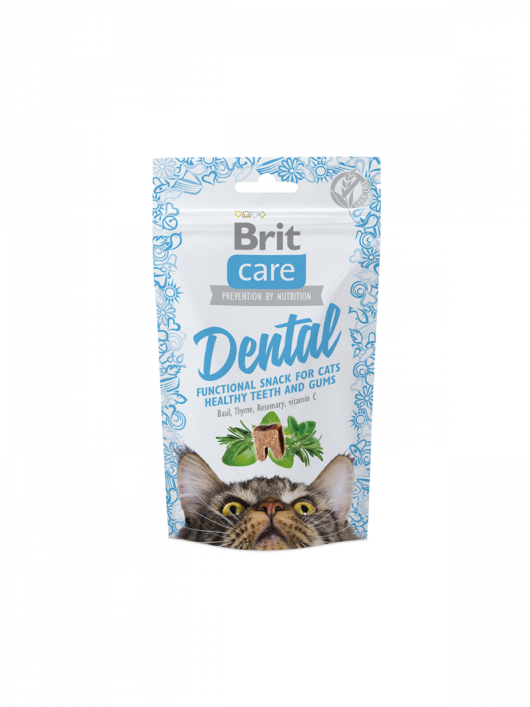 BCC_snack_dental.png