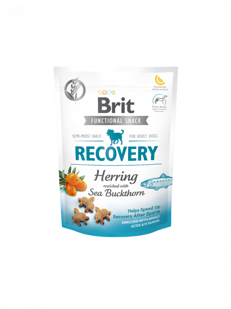 FunctionalSnack_recovery.png