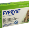 Fyp-M.jpg