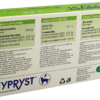 Fyp-M-2.jpg