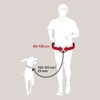 Pas-Hands-Free-1-135m-25mm-voditko-60-120cm-3.jpg