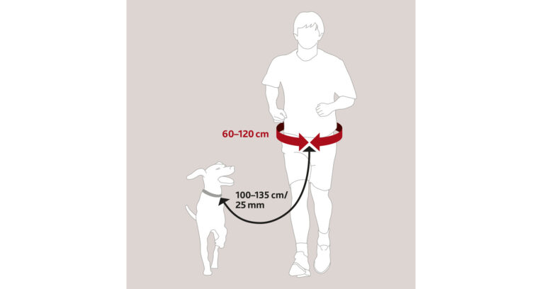 Pas-Hands-Free-1-135m-25mm-voditko-60-120cm-3.jpg