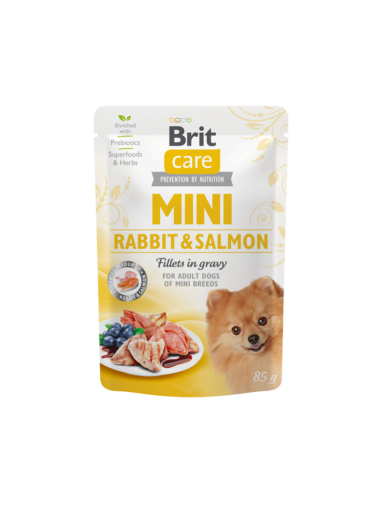 RabbitSalmon.png