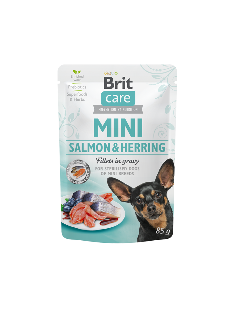 SalmonHerring.png