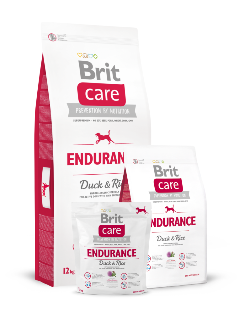 endurance_duckrice.png