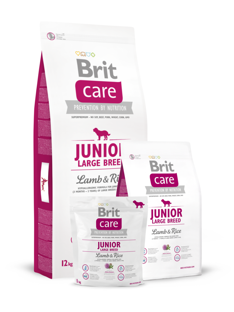 juniorlargebreed_lambrice-1.png