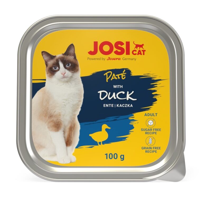Paté Duck